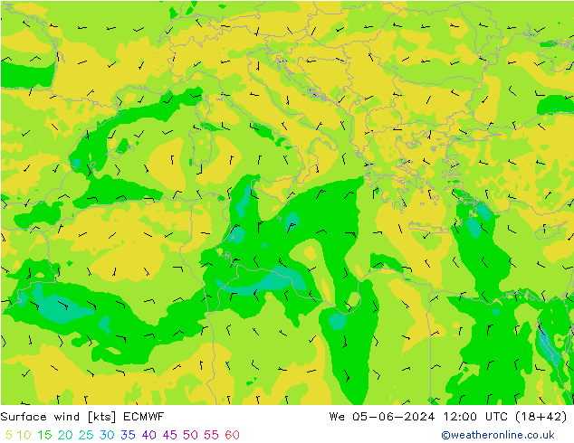 Surface wind ECMWF We 05.06.2024 12 UTC