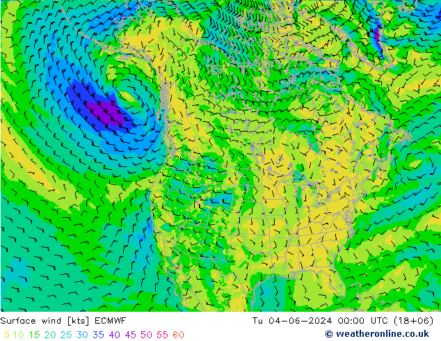 风 10 米 ECMWF 星期二 04.06.2024 00 UTC