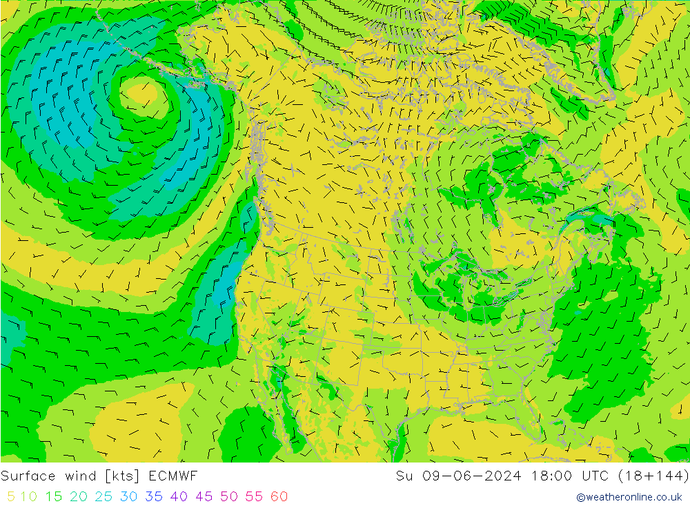 Surface wind ECMWF Su 09.06.2024 18 UTC