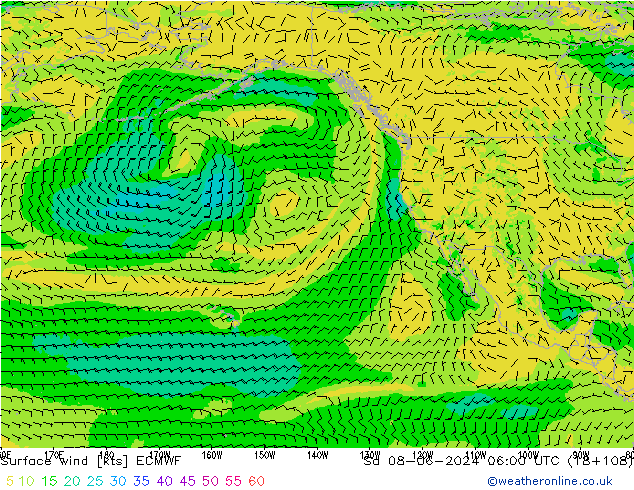 Bodenwind ECMWF Sa 08.06.2024 06 UTC