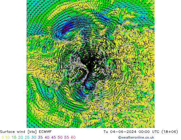 Surface wind ECMWF Tu 04.06.2024 00 UTC