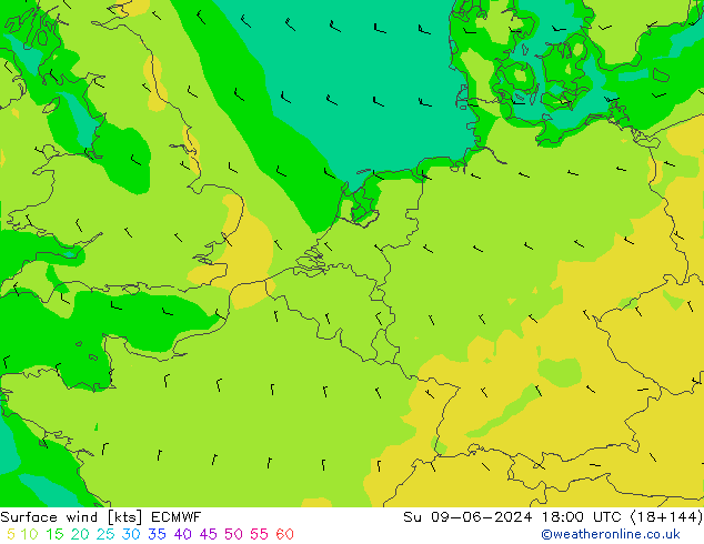 Bodenwind ECMWF So 09.06.2024 18 UTC