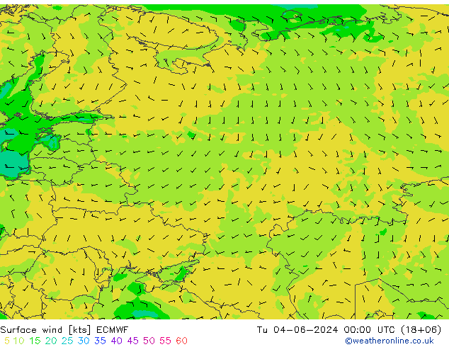 Surface wind ECMWF Tu 04.06.2024 00 UTC