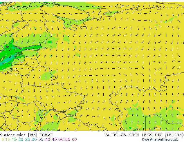 Surface wind ECMWF Ne 09.06.2024 18 UTC