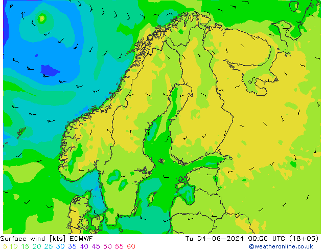 Surface wind ECMWF Tu 04.06.2024 00 UTC