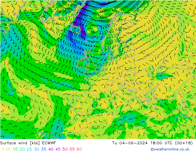  10 m ECMWF  04.06.2024 18 UTC