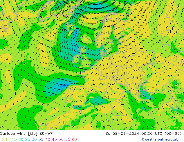 Bodenwind ECMWF Sa 08.06.2024 00 UTC