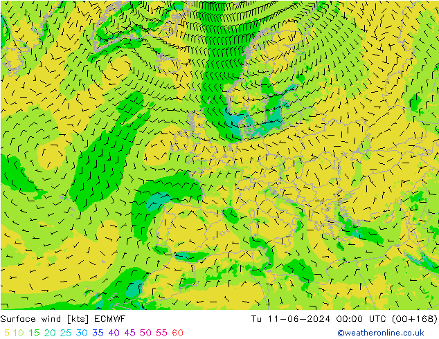 Wind 10 m ECMWF di 11.06.2024 00 UTC