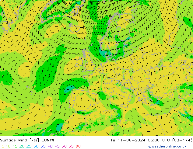 ветер 10 m ECMWF вт 11.06.2024 06 UTC