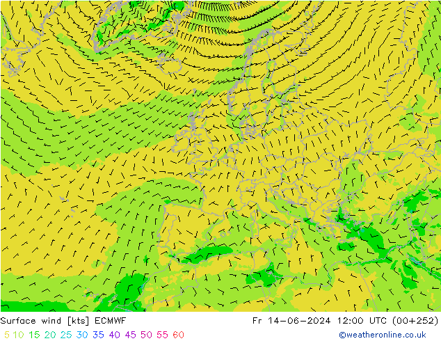 Surface wind ECMWF Fr 14.06.2024 12 UTC