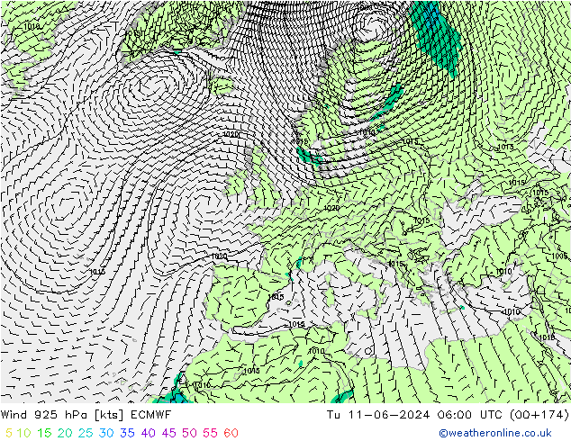 ветер 925 гПа ECMWF вт 11.06.2024 06 UTC