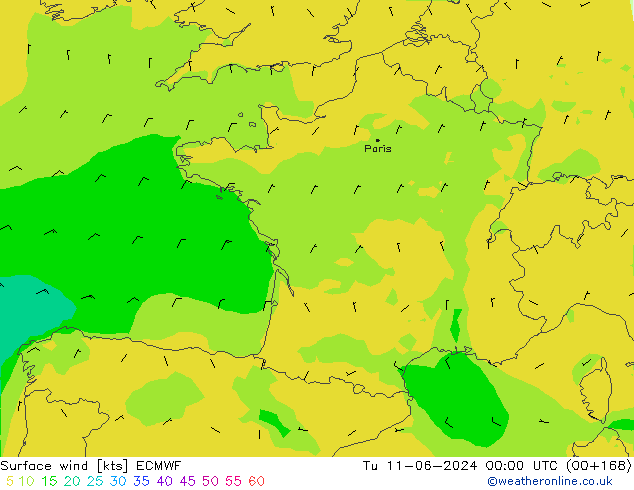 Vento 10 m ECMWF Ter 11.06.2024 00 UTC