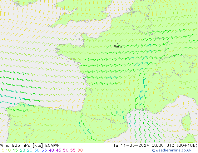 Vento 925 hPa ECMWF Ter 11.06.2024 00 UTC