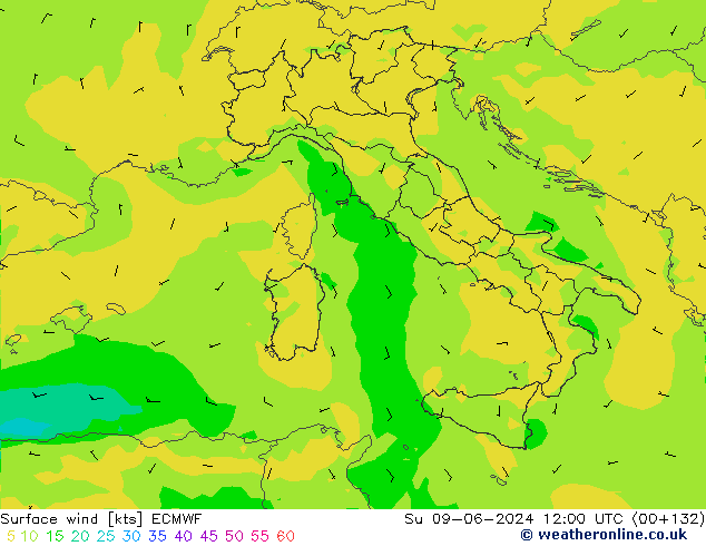 Wind 10 m ECMWF zo 09.06.2024 12 UTC