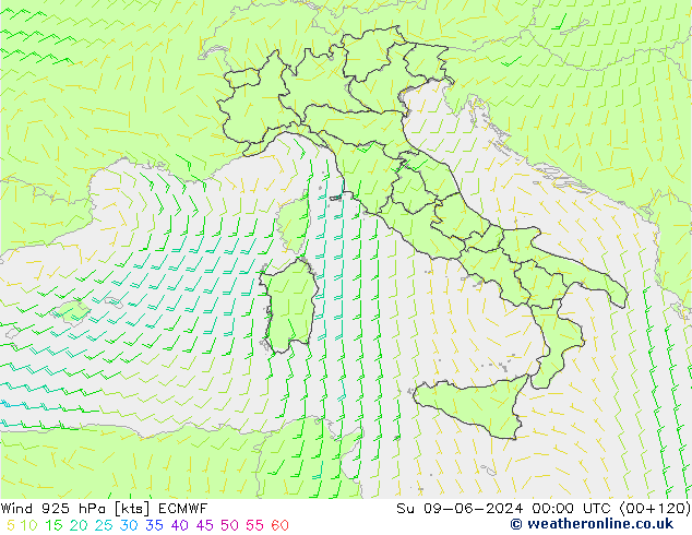 Vento 925 hPa ECMWF Dom 09.06.2024 00 UTC