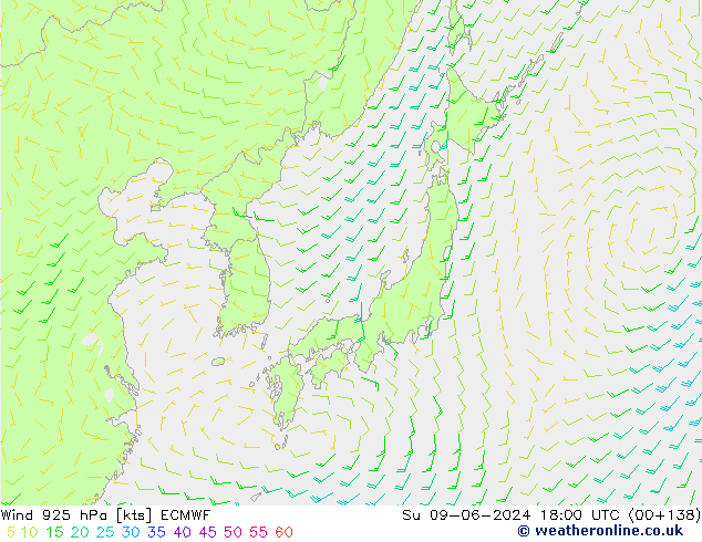 wiatr 925 hPa ECMWF nie. 09.06.2024 18 UTC