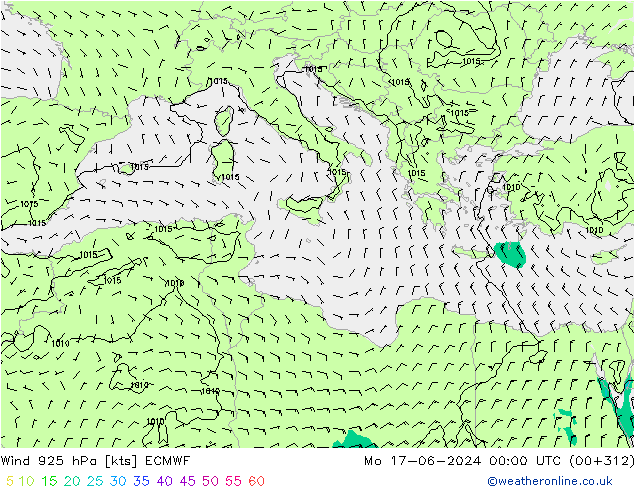  925 hPa ECMWF  17.06.2024 00 UTC