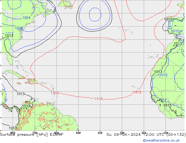 Yer basıncı ECMWF Paz 09.06.2024 12 UTC