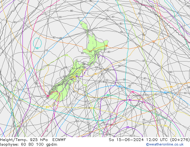 Géop./Temp. 925 hPa ECMWF sam 15.06.2024 12 UTC