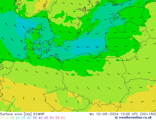 Wind 10 m ECMWF ma 10.06.2024 12 UTC