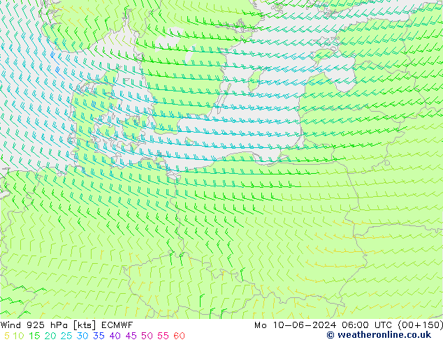 Rüzgar 925 hPa ECMWF Pzt 10.06.2024 06 UTC