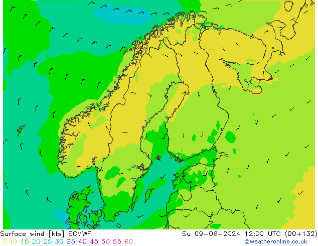 Surface wind ECMWF Su 09.06.2024 12 UTC