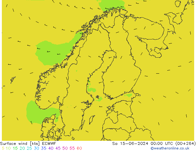 Surface wind ECMWF So 15.06.2024 00 UTC