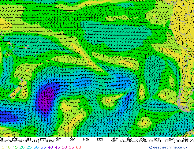 Surface wind ECMWF Sa 08.06.2024 06 UTC