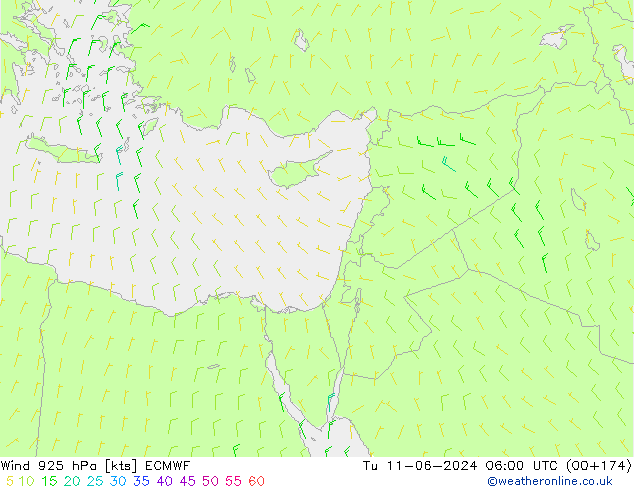  925 hPa ECMWF  11.06.2024 06 UTC