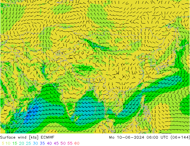 ветер 10 m ECMWF пн 10.06.2024 06 UTC