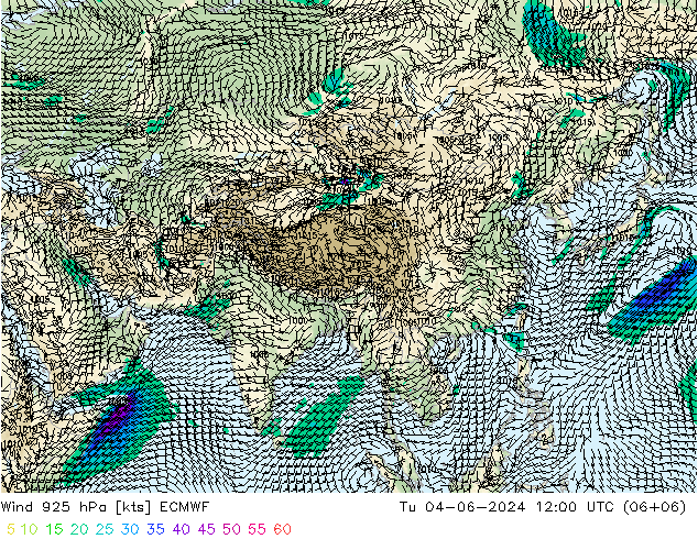 ветер 925 гПа ECMWF вт 04.06.2024 12 UTC