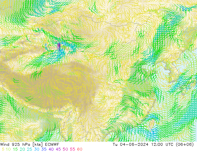 风 925 hPa ECMWF 星期二 04.06.2024 12 UTC