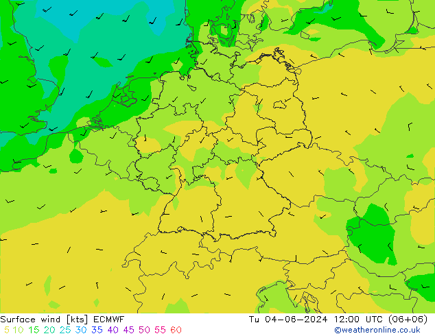 Surface wind ECMWF Tu 04.06.2024 12 UTC