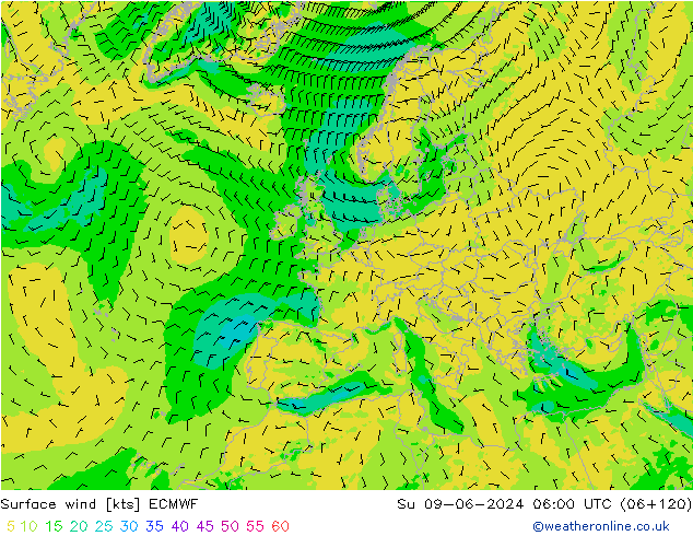 Vent 10 m ECMWF dim 09.06.2024 06 UTC