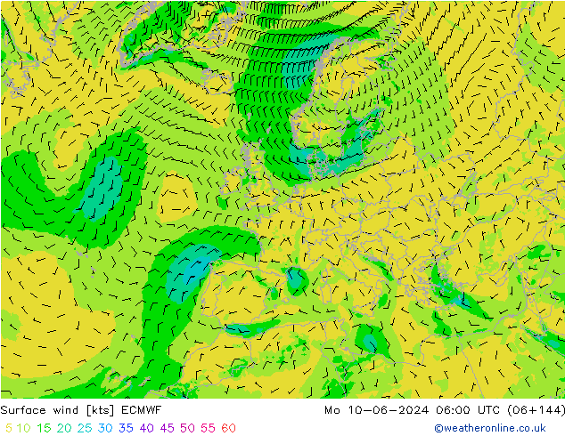 ветер 10 m ECMWF пн 10.06.2024 06 UTC