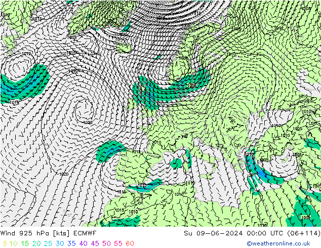 Rüzgar 925 hPa ECMWF Paz 09.06.2024 00 UTC