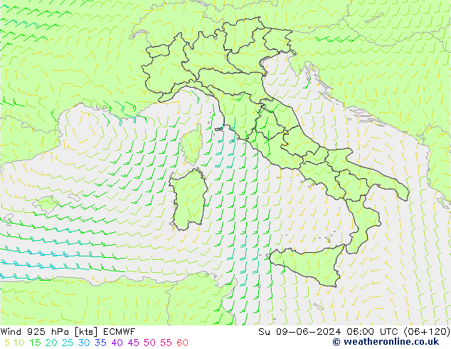  925 hPa ECMWF  09.06.2024 06 UTC