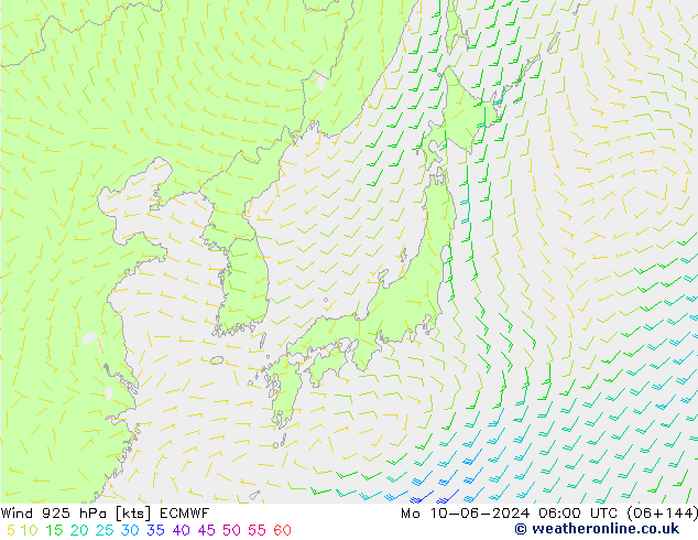 Vento 925 hPa ECMWF Seg 10.06.2024 06 UTC