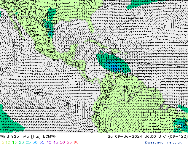 Vent 925 hPa ECMWF dim 09.06.2024 06 UTC