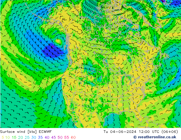 Surface wind ECMWF Tu 04.06.2024 12 UTC