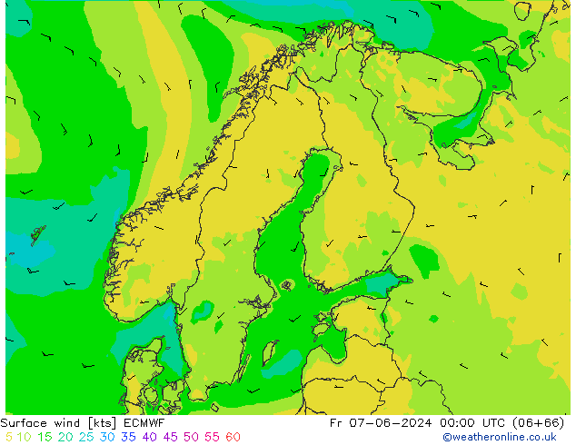 Wind 10 m ECMWF vr 07.06.2024 00 UTC