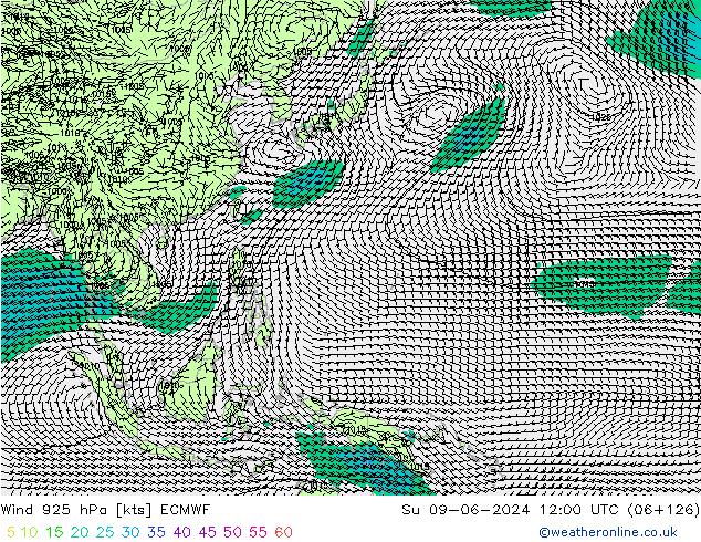 ветер 925 гПа ECMWF Вс 09.06.2024 12 UTC