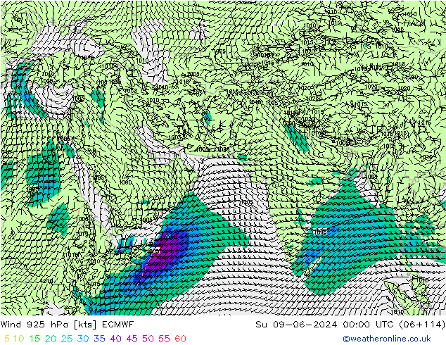 ветер 925 гПа ECMWF Вс 09.06.2024 00 UTC