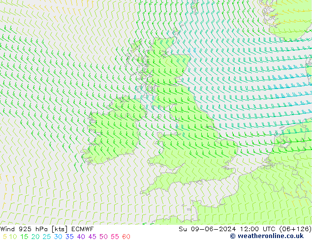  925 hPa ECMWF  09.06.2024 12 UTC