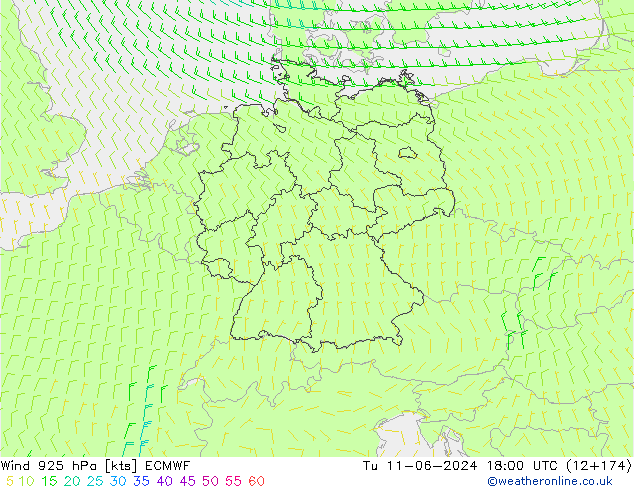 Wind 925 hPa ECMWF Di 11.06.2024 18 UTC