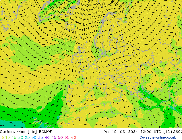 Surface wind ECMWF We 19.06.2024 12 UTC