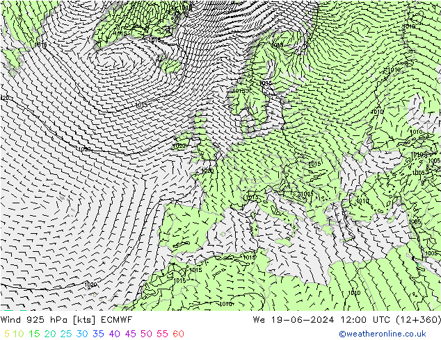  925 hPa ECMWF  19.06.2024 12 UTC