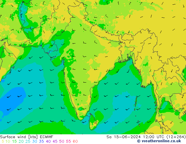 Vento 10 m ECMWF sab 15.06.2024 12 UTC