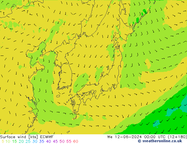 wiatr 10 m ECMWF śro. 12.06.2024 00 UTC