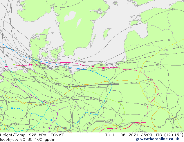 Height/Temp. 925 hPa ECMWF Tu 11.06.2024 06 UTC